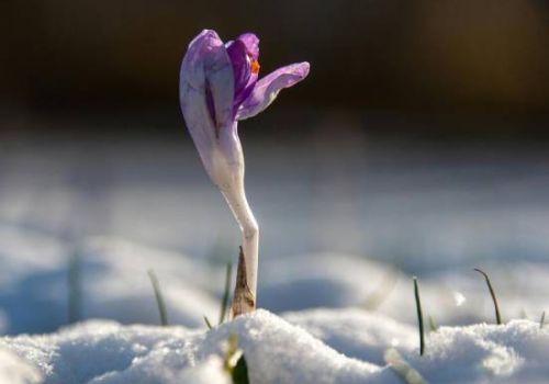 momenti di difficolta e resilienza