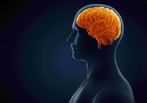 Psicologia per neofiti