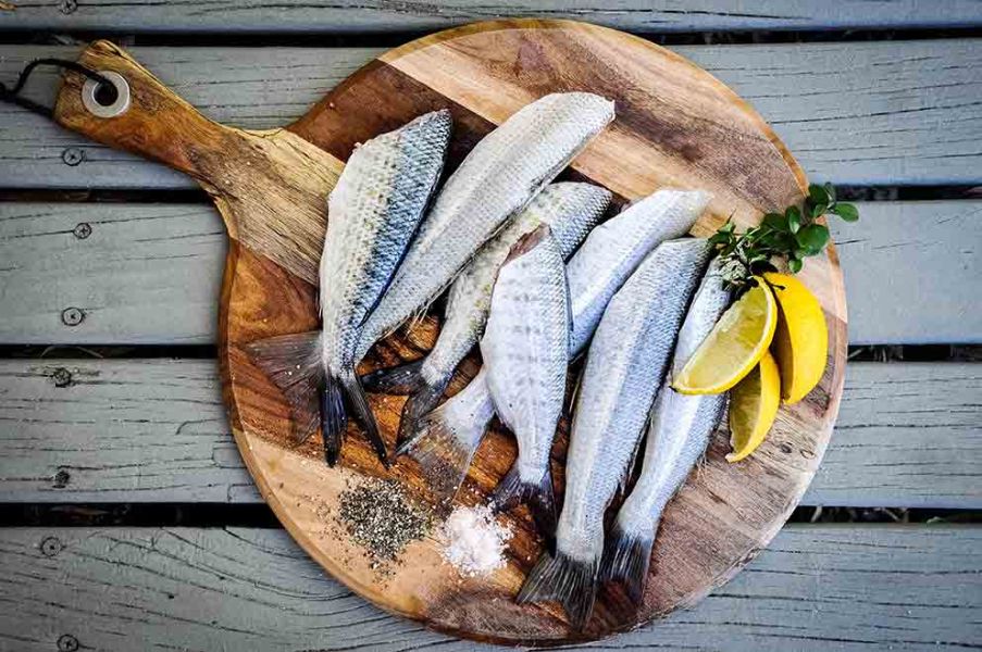 Omega 3 per una ottimizzazione del funzionamento intestinale
