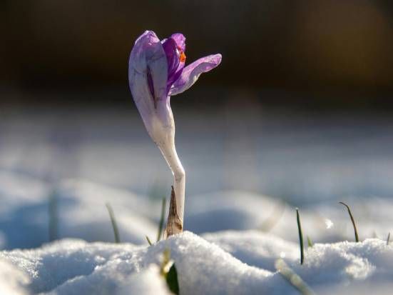 momenti di difficolta e resilienza