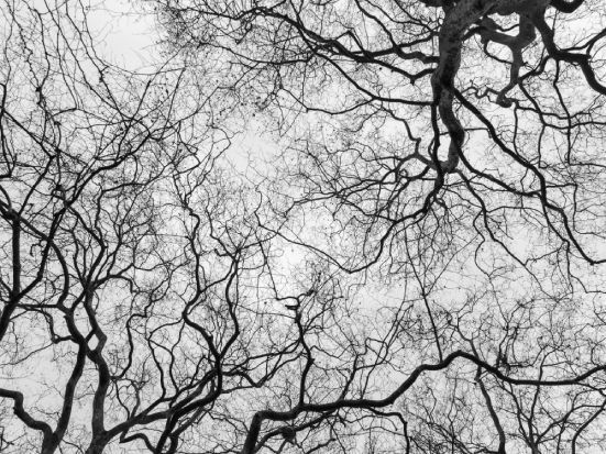 allucinazioni disturbi sonno